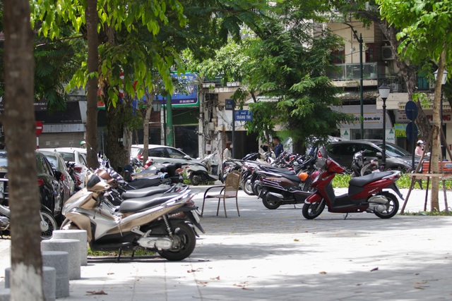 Cận cảnh vườn hoa kiểu mẫu hơn 5 tỷ đồng ở trung tâm Hà Nội - 15