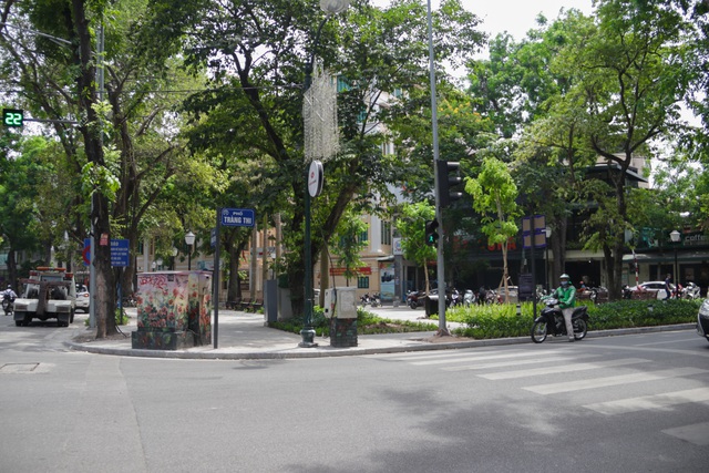 Cận cảnh vườn hoa kiểu mẫu hơn 5 tỷ đồng ở trung tâm Hà Nội - 1