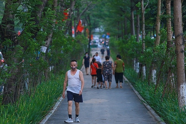man nhan nhung con duong rop bong cay xanh o ha noi