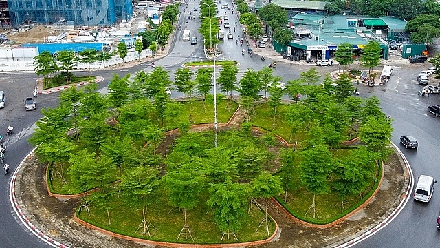 man nhan nhung con duong rop bong cay xanh o ha noi