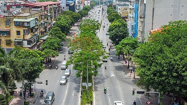 man nhan nhung con duong rop bong cay xanh o ha noi