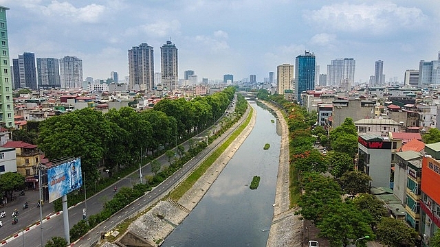 man nhan nhung con duong rop bong cay xanh o ha noi