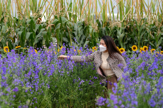 Home Hanoi Xuan 2021- nét duyên Tết nơi kinh kỳ đất Bắc - Ảnh 2. Home Hanoi Xuan 2021- nét duyên Tết nơi kinh kỳ đất Bắc - Ảnh 2.