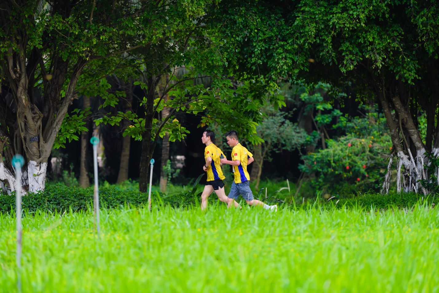 Đường chạy xanh cho người yêu thiên nhiên ở Ecopark - ảnh 2