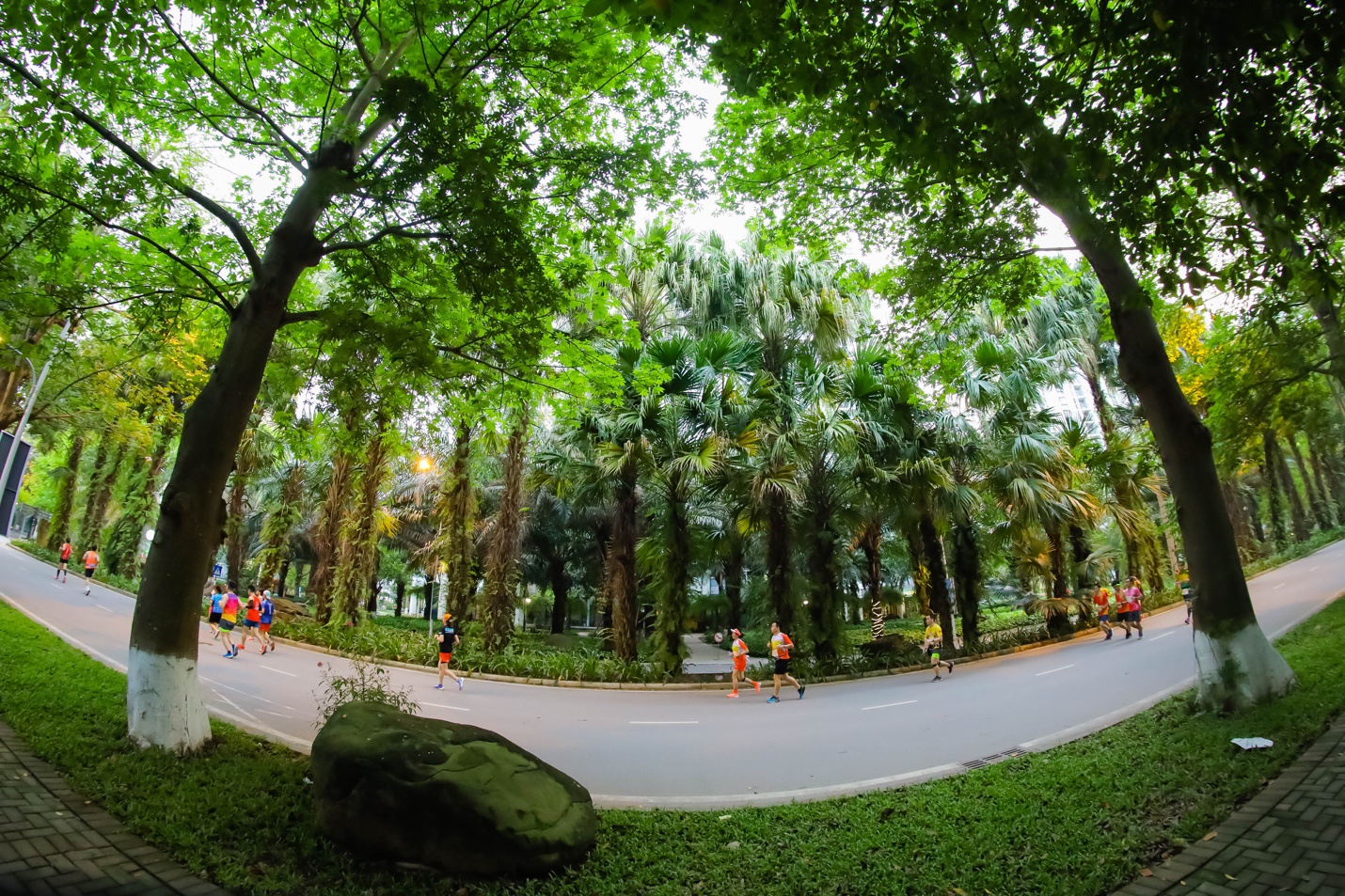 Đường chạy xanh cho người yêu thiên nhiên ở Ecopark - ảnh 3