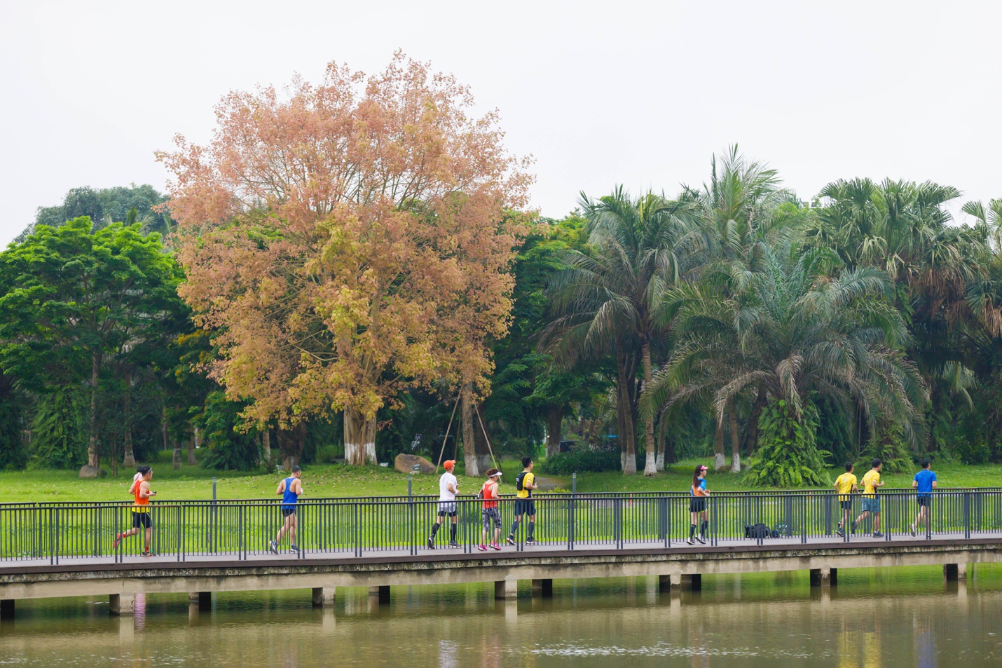 Đường chạy xanh cho người yêu thiên nhiên ở Ecopark - ảnh 6