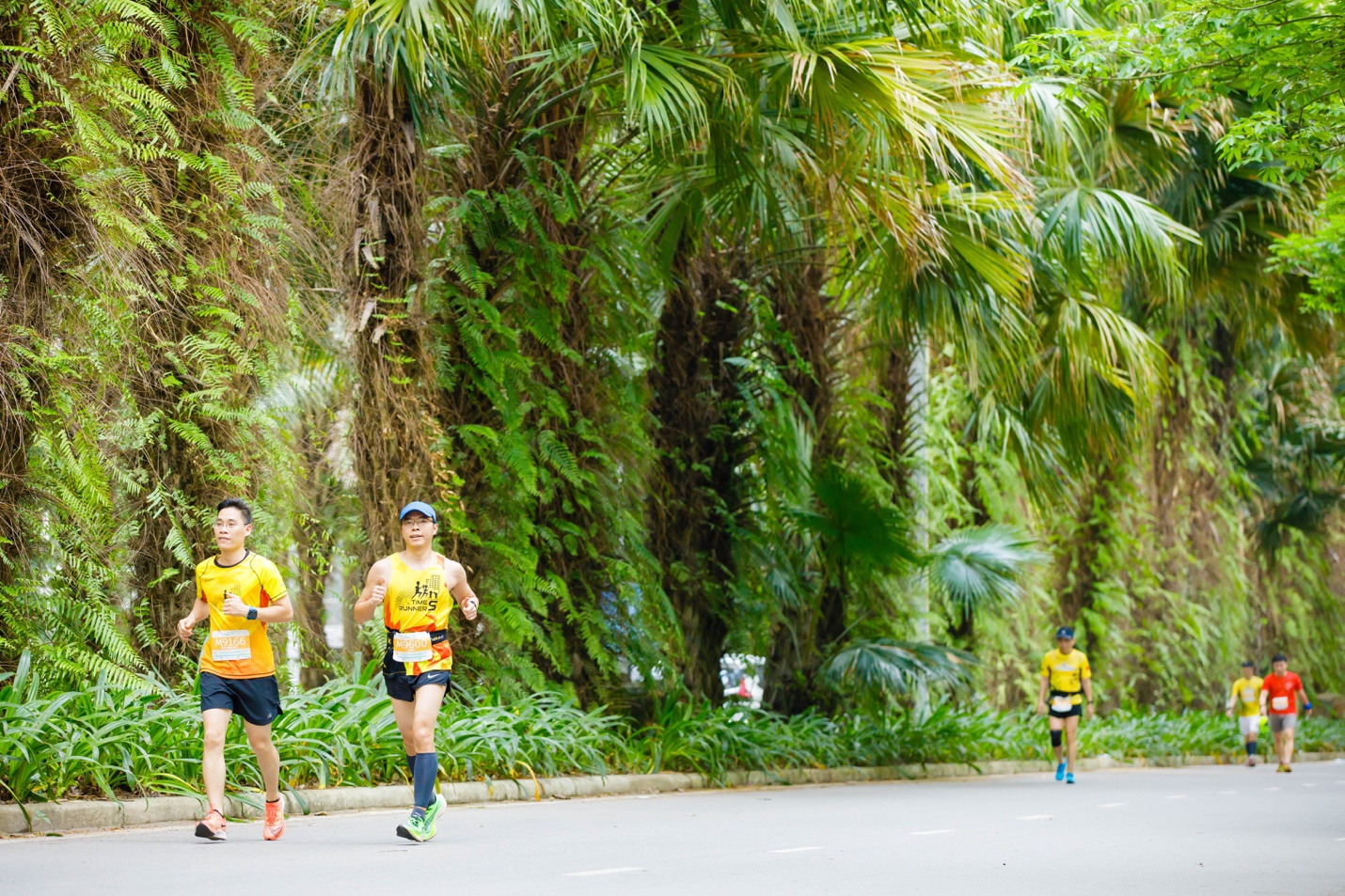 Đường chạy xanh cho người yêu thiên nhiên ở Ecopark - ảnh 7