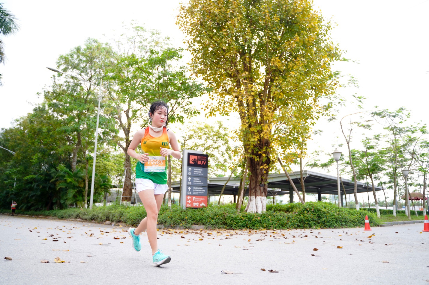 Đường chạy xanh cho người yêu thiên nhiên ở Ecopark - ảnh 8