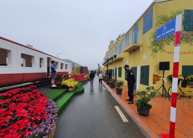 Khai mac duong hoa Xuan Ha Noi chao don Tet nguyen dan hinh anh 2