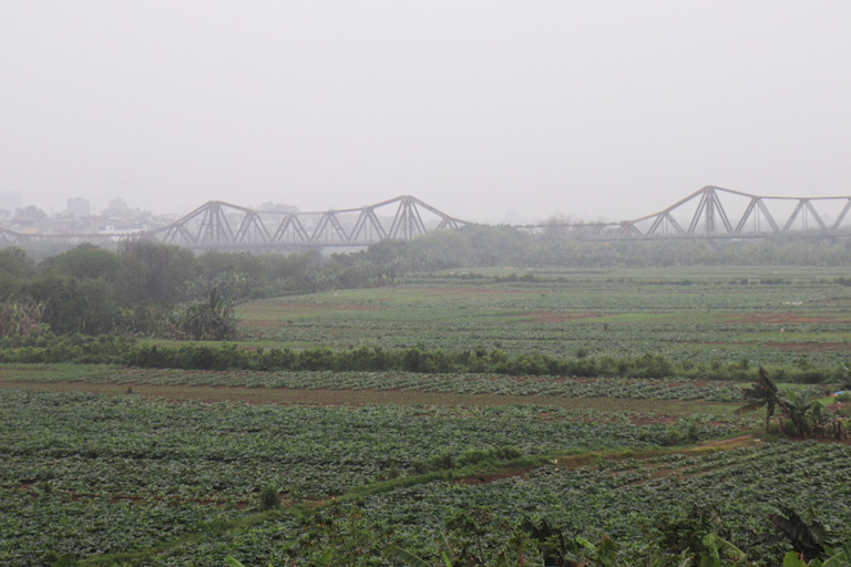 Phân khu quy hoạch có diện tích gần 11.000ha, trong đó, sông Hồng chiếm 3.600ha (33%), đất bãi sông trên 5.400ha (50%).
