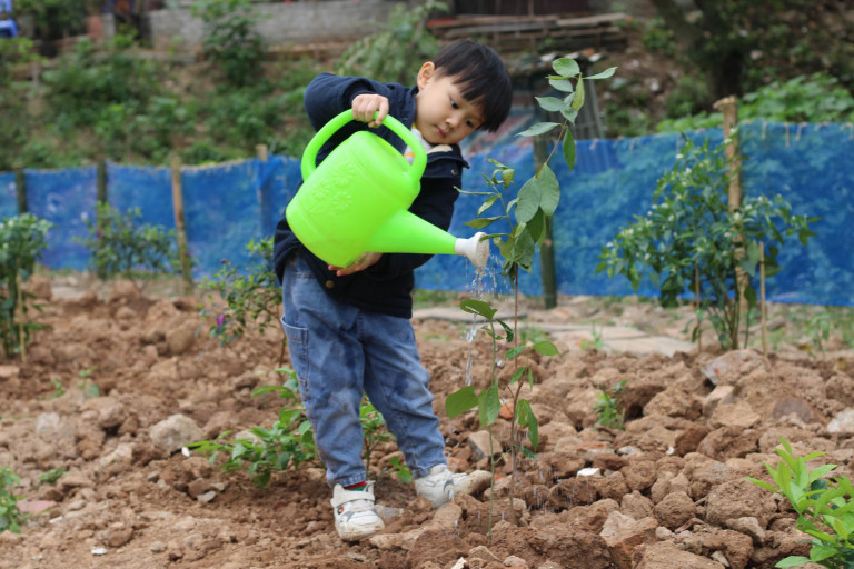 Trẻ em làm vườn