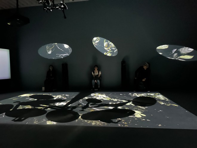 Tác phẩm khi trưng bày tại bảo tàng Nghệ thuật Singapore (tháng 1 - tháng 4/ 2024). Ảnh: Đặng Thùy An